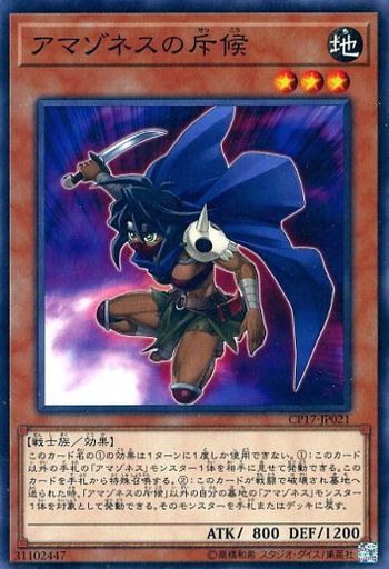 遊戯王 No.899 アマゾネスデッキ