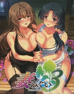 DVDソフト妻みぐい3