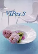  VIP ex.3 