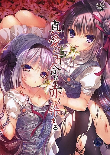 真愛の百合は赤く染まる 描き下ろし有償b2タペストリー付き バグシステム エロゲ安売り情報