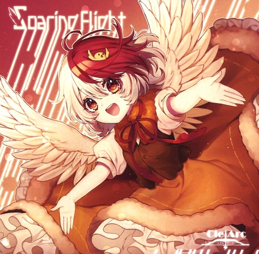 Soaring Flight_image