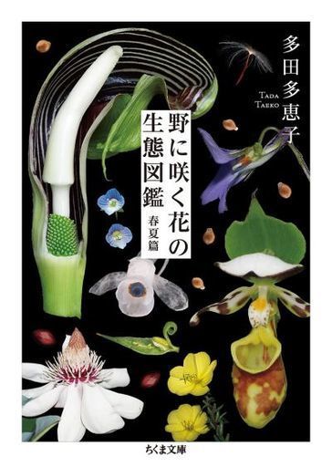 花 文庫の人気商品 通販 価格比較 価格 Com 花 文庫の人気商品 通販 価格比較 価格 Com