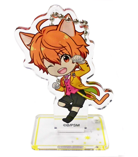 The Idolm Ster Sidem 5th Anniversary Solo Collection J Hobby Collection
