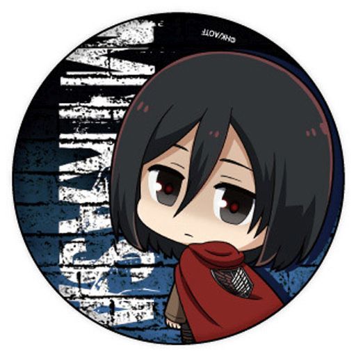進撃の巨人 ミカサ アッカーマン の誕生日をお祝いしよう アニメキャラ誕生日 お祝いしよう