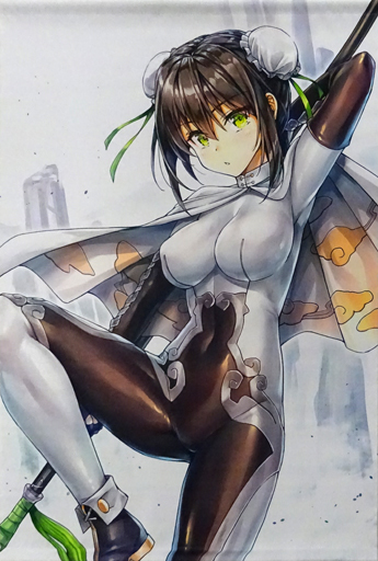 駿河屋 買取 Fate B2タペストリー 秦良玉 小龍 C95 Kotatsu Room タペストリー