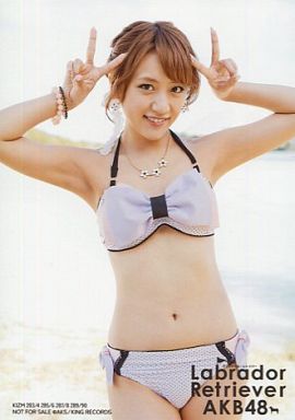 生写真(AKB48・SKE48)/アイドル/AKB48 高橋みなみ/水着・膝上/CD「ラブラドール・レトリバー」通常盤特典