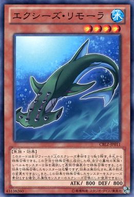 遊戯王 シャークさんのエクシーズコンボだ マスタールールから本気出す 新兎のきままにサブカル 遊戯王 ヴァンガード デュエマ Tcgブログ