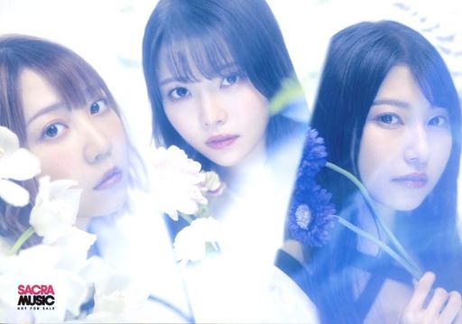 TrySail/集合(3人)/CD「Lapis」アニメイト特典ブロマイド