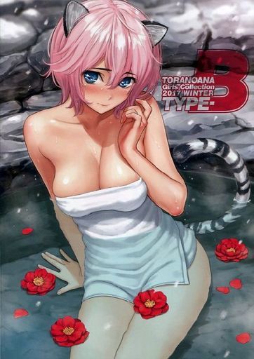 オリジナル TORANOANA Girls Collection 2017 Winter TYPE-B / 株式会社虎の穴