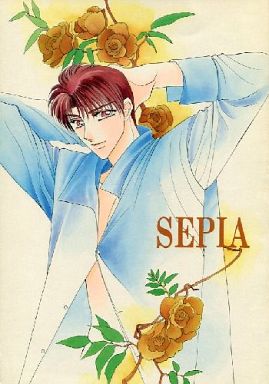 <<新世紀GPXサイバーフォーミュラ>> SEPIA （菅生修、ブーツホルツ） / CRY-MAX