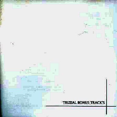 駿河屋 -<中古>TRIZEAL BONUS TRACK'S トライジール ボーナストラック ...