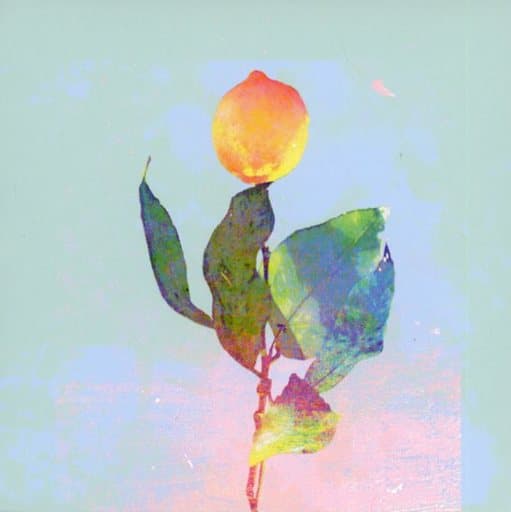 駿河屋 -<中古>米津玄師 / Lemon ~ドラマ「アンナチュラル」主題歌
