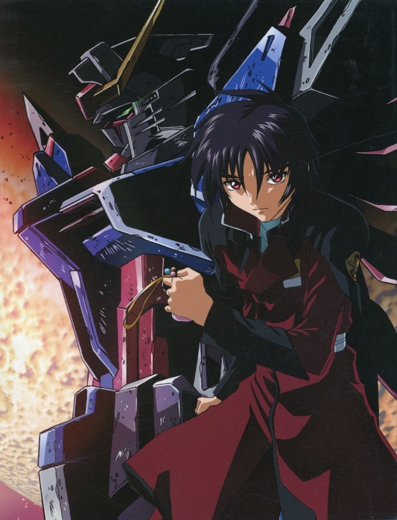 駿河屋 -<中古>不備有)機動戦士ガンダムSEED DESTINY DVD-BOX(状態