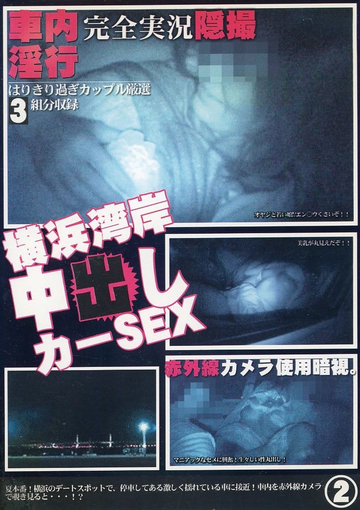 隠撮 横浜湾岸 中出しカーSEX(2)【DVD-R】