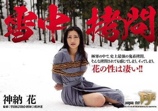 雪中拷問　神納 花　av 雪中拷問 神納花