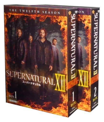 駿河屋 -<中古>SUPERNATURAL XII スーパーナチュラル ＜トゥエルブ