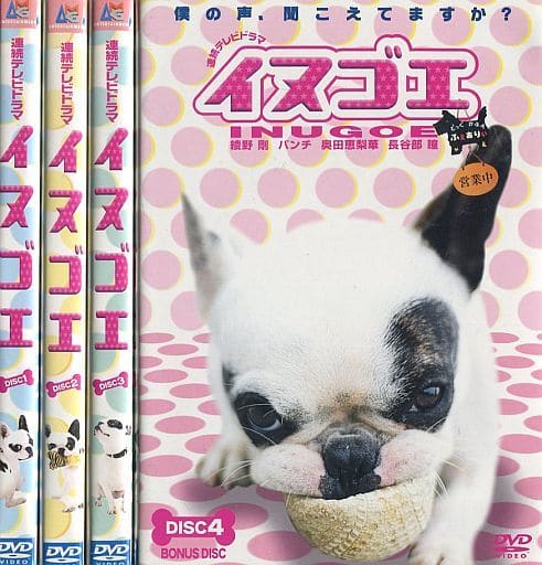 駿河屋 -<中古>不備有)イヌゴエ DVD-BOX(状態：三方背BOX・モキモキお ...