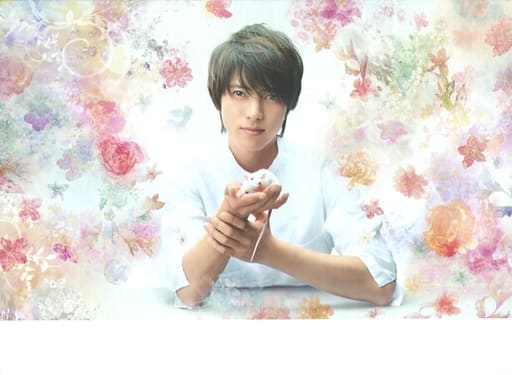 駿河屋 -<中古>不備有)アルジャーノンに花束を DVD-BOX(状態:本編+