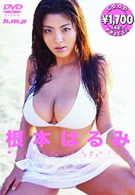 駿河屋 -<中古>根本はるみ / SPECIAL DVD (一般グラビア系映像ソフト)