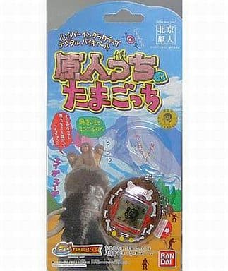 駿河屋 -<中古>原人っちのたまごっち(携帯ゲーム) 駿河屋 -<中古>原人っちのたまごっち(携帯ゲーム)
