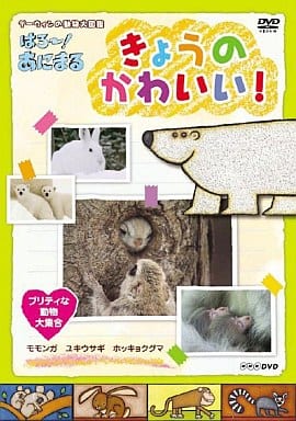 駿河屋 -<中古>ダーウィンの動物大図鑑 はろ～!あにまる プリティな