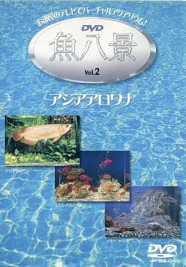 駿河屋 -<中古>DVD 魚八景 Vol.2 アジアアロワナ（その他）