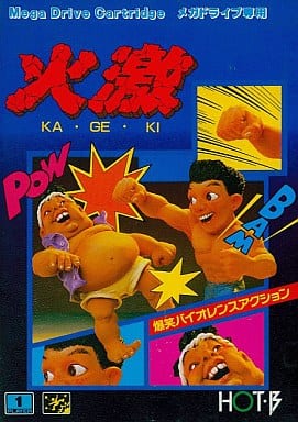 駿河屋 -<中古>火激(ROM)