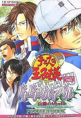 テニスの王子様 ドキドキサバイバル 山麓のmysticのゲームと攻略本の中で どの作品が最もレアなのか モノノフ的ゲーム紹介