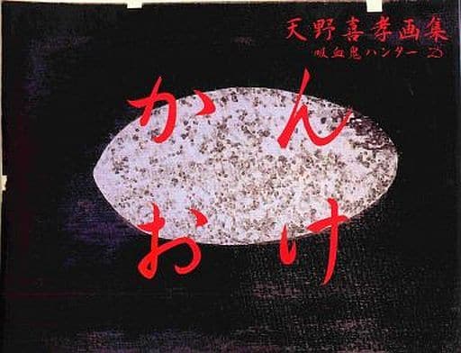 天野喜孝 画集 かんおけ 美品 外箱付 吸血鬼ハンターD