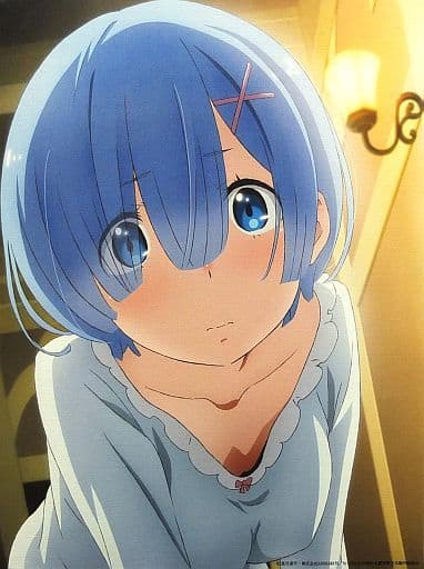 駿河屋 - 【買取】『Re:ゼロから始める異世界生活』 キャンバスアート