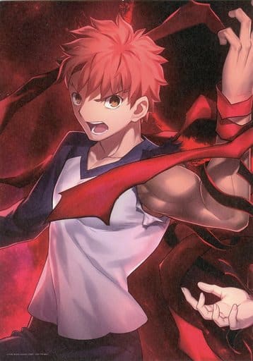 駿河屋 -<中古>劇場版「Fate/stay night [Heaven's Feel]」III. spring 