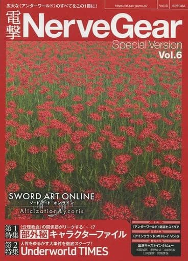駿河屋 -<中古>電撃NerveGear Special Version Vol.6(ゲーム)