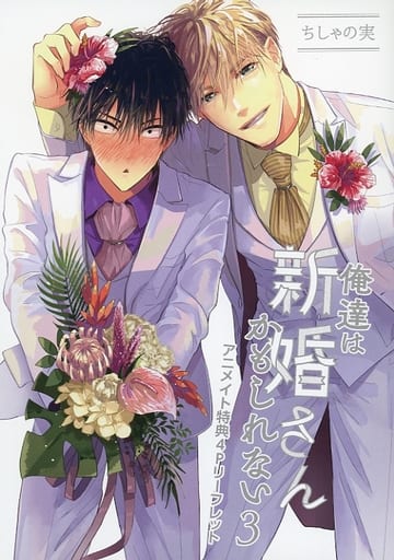 駿河屋 -<中古>俺達は新婚さんかもしれない(3) アニメイト特典4P