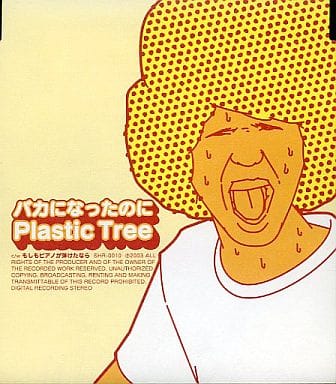 plastic tree CDセット 有村 プラスティック プラトゥリ