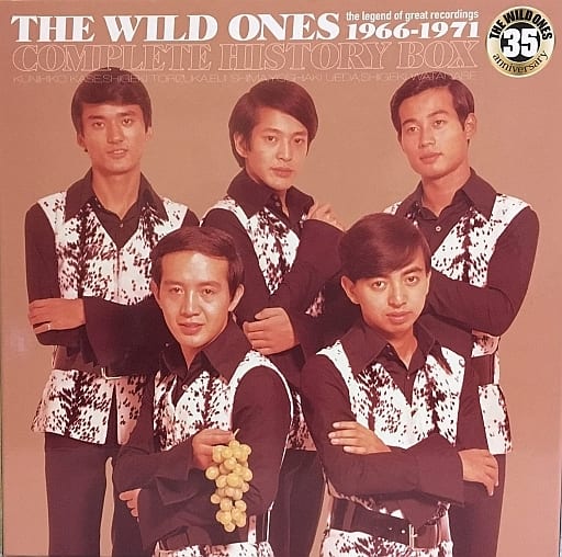 未開封多 THE WILD ONES 初回限定盤 CD COMPLETE HISTORY BOX ザ・ワイルド・ワンズ