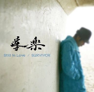 導楽 - STILL IN LOVE CROCODILE riddim4枚セット-