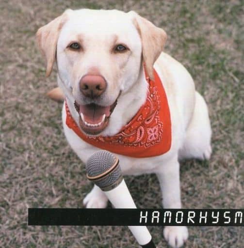 室内搬入設置無料 【激レア】Vocal 7th Beat『HAMORHYSM』() - 通販