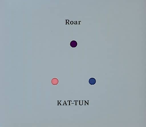 KAT-TUN Roar ファンクラブ限定盤 - アイドル