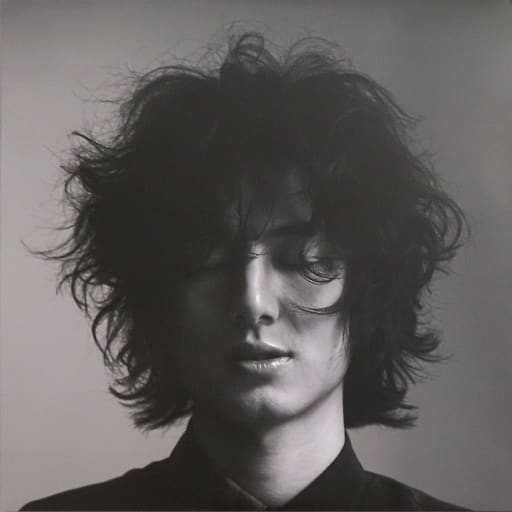 2022春夏新色】 EVER HELP HURT レコード LP NEVER 邦楽 - education
