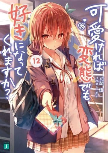 駿河屋 -<新品/中古>可愛ければ変態でも好きになってくれますか?(12