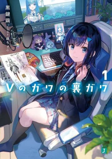 ライトノベル文庫サイズ Vのガワの裏ガワ(1) | clinicaversalles.com.pe