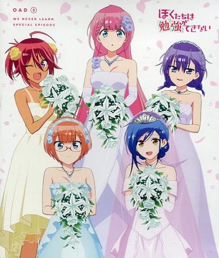 駿河屋 中古 ぼくたちは勉強ができない Oad 2 アニメ 駿河屋 中古 ぼくたちは勉強ができない Oad 2 アニメ