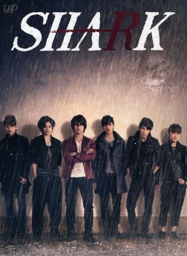 SHARK～2nd Season～ Blu-ray BOX 豪華版〈初回限定生…