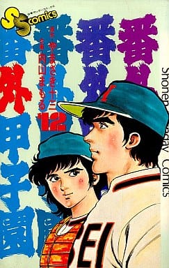 番外甲子園(12) 番外甲子園(12)
