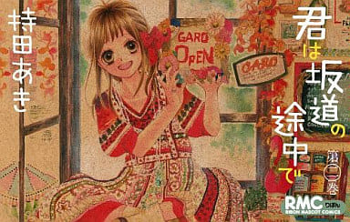 駿河屋 中古 君は坂道の途中で 2 持田あき 少女コミック