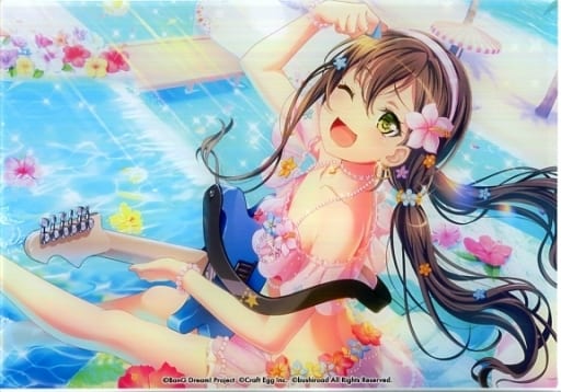 駿河屋 買取 花園たえ イラストアクリルボード Vol 1 Bang Dream ガールズバンドパーティ 小物