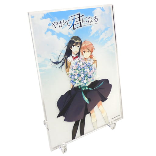 やがて君になる　アニメイト限定　アクリルスタンド　同梱特典　コミックス5巻