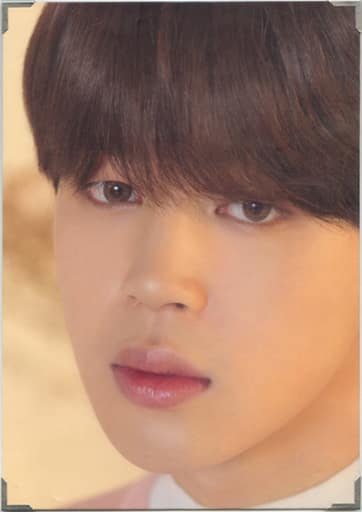 駿河屋 -<中古>ジミン(BTS/防弾少年団) プレミアムフォト(パネル