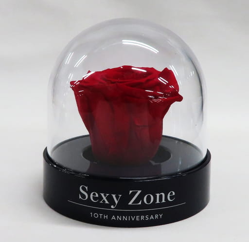 [単品] Sexy Zone 薔薇(プリザーブドフラワー) デビュー10周年記念ファンクラブ会員限定特典