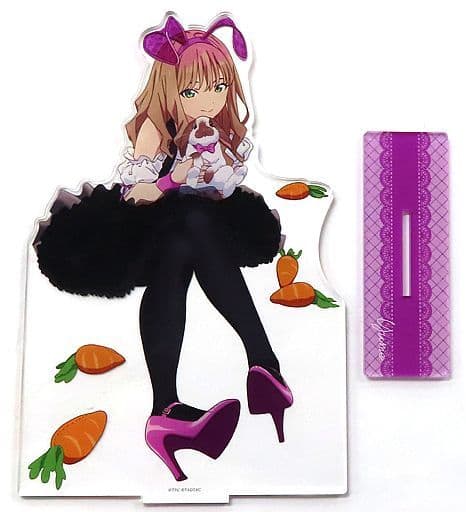未使用品】 SSSS.DYNAZENON THEキャラSHOP アクリルスタンド 南夢芽